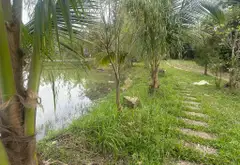Khu nghỉ dưỡng vườn cây ao cá siêu đẹp tại Trung Giã... Bán đất tại Trung Giã, Hà Nội 06