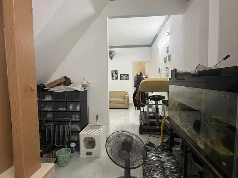 NHÀ 2 TẦNG - THỐNG NHẤT P11 GV - GẦN LOTTE NGUYỄN VĂN LƯỢNG - SÁT HẺM XE HƠI - 4.2x12 - 50M2... Bán nhà riêng tại Thông Tây Hội, Hồ Chí Minh 01