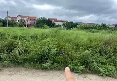 Bán đất phân lô phường Mỹ Hào, Hưng Yên - mặt tiền 5.5m, ô tô vào nhà... Bán đất tại Mỹ Hào, Hưng Yên 10