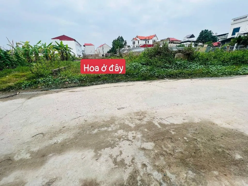Đất Vàng Hương Đình Đông, Tiềm Năng Kinh Doanh Đỉnh... Bán owner_side tại Sóc Sơn, Hà Nội 01