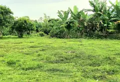 🌿 LÔ ĐẤT CHỮA LÀNH NGAY THUNG LŨNG FARM HÒA BẮC – CHÂN NÚI, SUỐI NHỎ, SÔNG CU ĐÊ TRONG LÀNH 🌿... Bán đất tại Hải Vân, Đà Nẵng 06