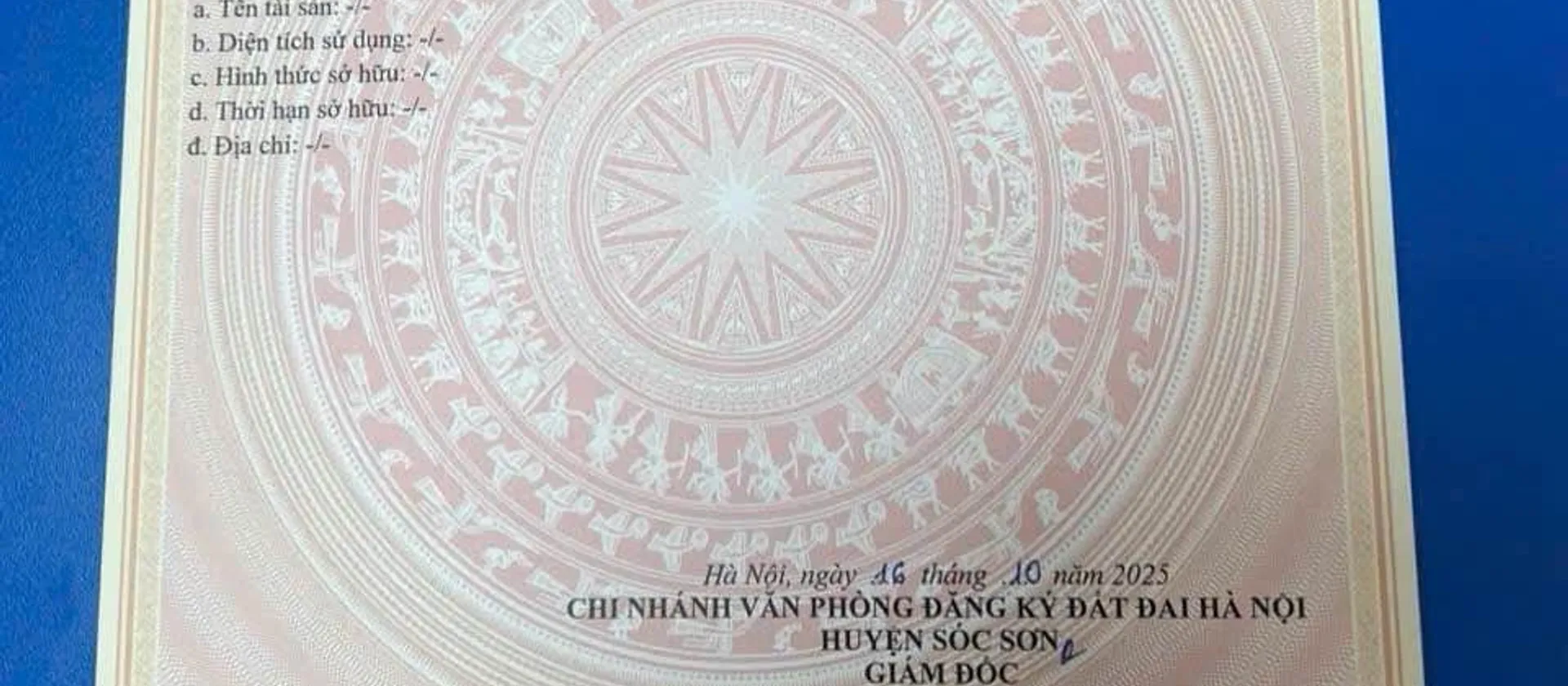 Đất Vàng 99.4m² - Cơ Hội Đầu Tư Vàng!... Bán đất tại Sóc Sơn, Hà Nội 01