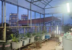 NGAY SÁT NHÀ THỜ LỚN - MẶT PHỐ CỔ KINH DOANH MỌI MẶT HÀNG - VÀI BƯỚC RA CHECKIN NHÀ THỜ - HỒ GƯƠM... Bán nhà mặt phố tại Hoàn Kiếm, Hà Nội 09