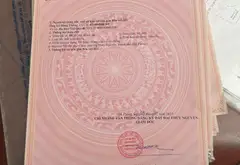 Bán đất thổ cư có hai mặt tiền tại xã Hoa Động... Bán đất tại Thủy Nguyên, Hải Phòng 11