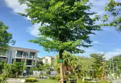 Biệt thự liền kề phong cách hiện đại tại khu đô thị Bắc sông Cấm, Hải Phòng... Bán biệt thự, liền kề tại Thủy Nguyên, Hải Phòng 03