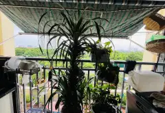 Cơ hội sở hữu căn hộ 3 phòng ngủ view thoáng tại KĐT Việt Hưng giá tốt... Bán căn hộ chung cư tại Việt Hưng, Hà Nội 12