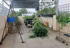 Bán nhà mặt phố tại khu dân cư Vĩnh Lộc, mặt tiền đường rộng 20m, diện tích 126.8m²... Bán nhà mặt phố tại Bình Tân, Hồ Chí Minh 16