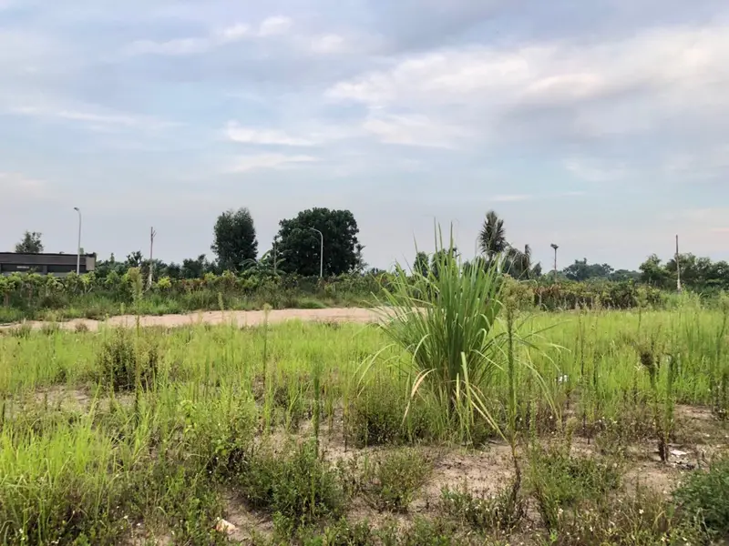 🔥 HÀNG HOT XÃ HOÀN LONG – LÔ ĐẤT ĐẸP 95M² – ĐỐI DIỆN TRƯỜNG MẦM NON – SÁT CỤM CÔNG NGHIỆP CÔNG NGH... Bán đất tại Yên Mỹ, Hưng Yên 01