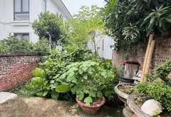 Lô Đất 105m2 Hướng Đông Nam, Gần Khu Biệt Thự, Phù Hợp Xây Nhà Đẹp... Bán đất tại Đông Hải, Hải Phòng 03
