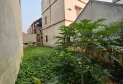 Đất vàng Hà Hồi – Kết nối thuận tiện, sât chợ Vồi Thường Tín... Bán đất tại Hồng Vân, Hà Nội 01