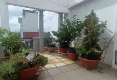 Nhà đẹp Phạm Văn Bạch – Không gian sống tiện nghi, hiện đại... Bán nhà riêng tại Tân Sơn, Hồ Chí Minh 06