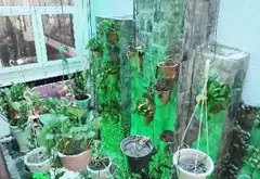 SIÊU PHẨM "TỰA NÚI ĐÓN SÓNG" chỉ 17.xT... Bán nhà mặt phố tại Tân Phú, Hồ Chí Minh 10