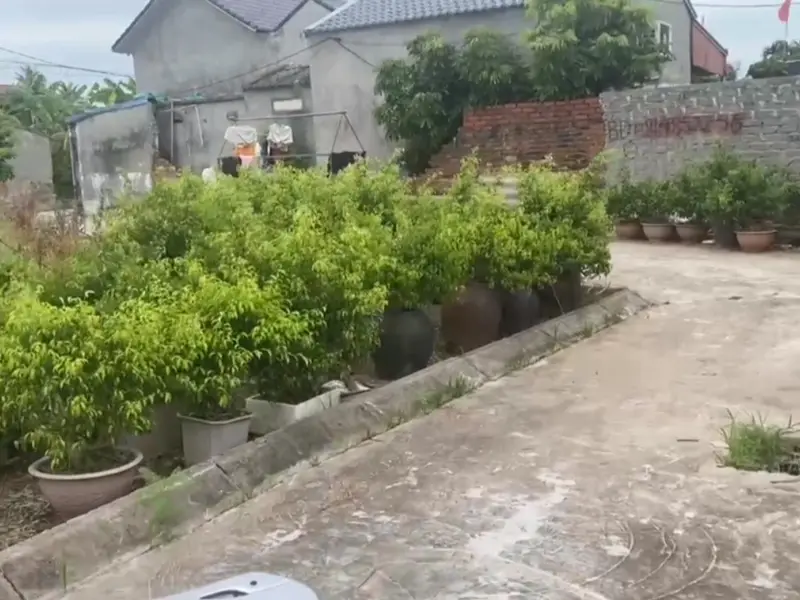 Cơ hội sở hữu đất nền đẹp thôn Đại Điền, Tân Viên, An Lão... Bán đất tại An Lão, Hải Phòng 01