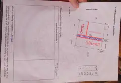 Bán đất 300m2 bãi sậy 3 Tân dân ( triệu việt vương) Hưng yên... Bán đất tại Triệu Việt Vương, Hưng Yên 11