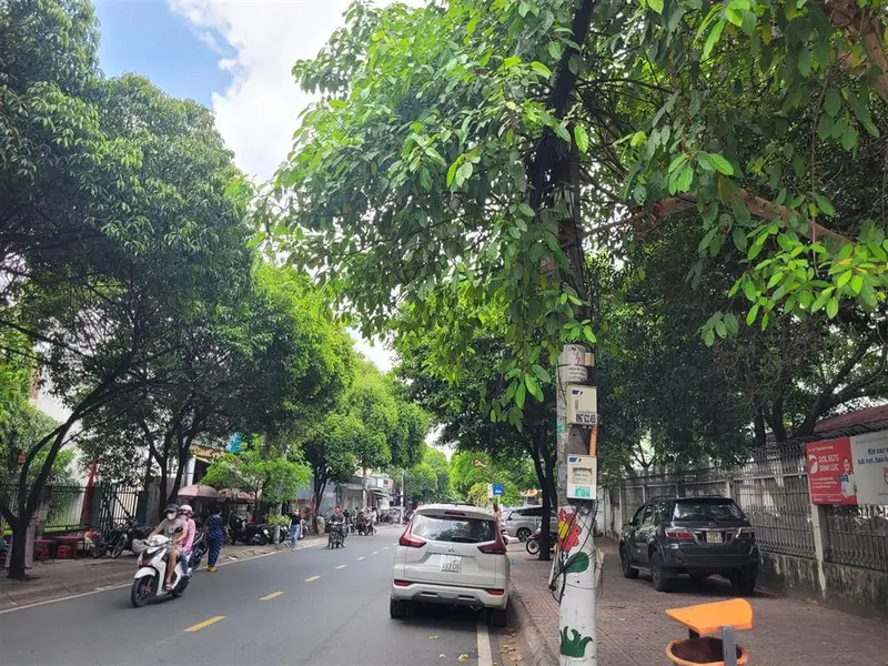 Bán nhà mặt phố diện tích 805m2 tại Phường Tam Phú, Thủ Đức, giá ưu đãi... Bán nhà mặt phố tại Tam Bình, Hồ Chí Minh 01