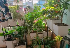 Hiếm có ở Mỗ Lao, quanh 9 tỷ ô tô đỗ cửa, ngõ thông tứ phía, gần Chợ Mỗ Lao... Bán nhà riêng tại Hà Đông, Hà Nội 07