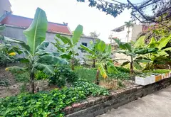 Bán đất trung tâm phường Ninh Xá, diện tích 50.2 m2, giá 1.89 tỷ đồng... Bán đất tại Ninh Xá, Bắc Ninh 04