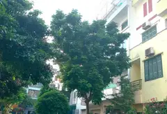 BÁN GẤP LIỀN KỀ VĂN KHÊ, PHÂN LÔ Ô TÔ TRÁNH, KINH DOANH ĐỈNH, 83M2 x 5 TẦNG, GIÁ CHÀO 19 TỶ 2.... Bán biệt thự, liền kề tại Hà Đông, Hà Nội 02
