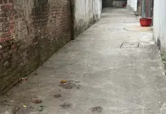 Cơ hội sở hữu đất vuông hiếm tại Đại Đồng, Thiên Lộc giá tốt... Bán đất tại Thiên Lộc, Hà Nội 01