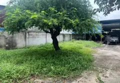 Nhà mặt tiền rộng 8.8m, 3 phòng ngủ tại Bà Điểm, Hóc Môn... Bán nhà mặt phố tại Bà Điểm, Hồ Chí Minh 06