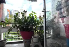 5x6m, Bán nhà 2 Tầng, Ngay Quang Trung - Lê Văn Thọ, P11 Gò Vấp, 3 Tỷ... Bán nhà riêng tại Thông Tây Hội, Hồ Chí Minh 07