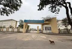 Đất đẹp Sóc Sơn, ô tô đỗ cửa, giá tốt... Bán đất tại Sóc Sơn, Hà Nội 03