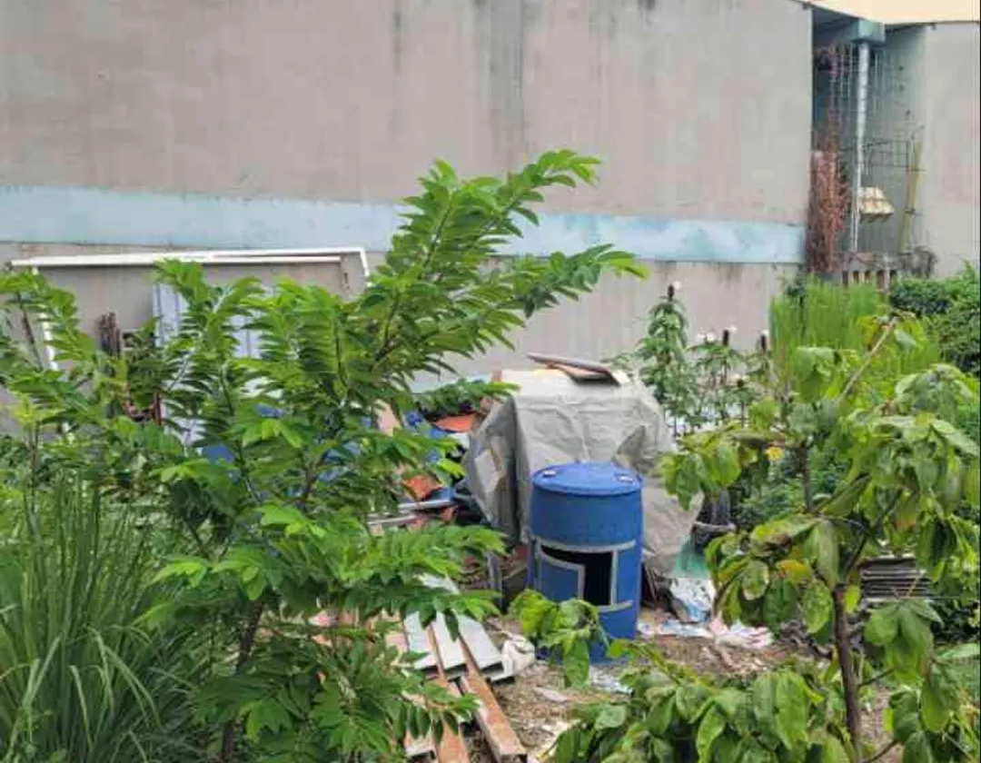 Đất Thạnh Xuân Quận 12 80m2 Mặt Tiền Rộng, Giá Tốt gần Hà Huy Giáp Cao Đăng Điện Lực... Bán đất tại Thới An, Hồ Chí Minh 01