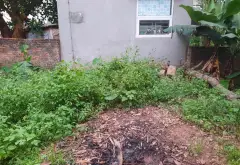 Cơ hội có 1 không 2: Đất rộng thoáng, vị trí đẹp tại Vạn Phúc, giá siêu hấp dẫn... Bán đất tại Nam Phù, Hà Nội 03