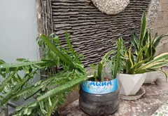 Nhà đẹp trung tâm Quận 3, giá siêu hấp dẫn... Bán nhà riêng tại Nhiêu Lộc, Hồ Chí Minh 18