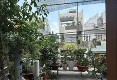 🚗 NHÀ HÓC MÔN CHỈ 5,2 TỶ – XE HƠI VÀO TẬN NHÀ... Bán nhà riêng tại Hóc Môn, Hồ Chí Minh 06