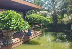 Đất Vườn Mặt Tiền Đường Tân Long Bình Chánh, Rộng 7800m2... Bán đất tại Tân Nhựt, Hồ Chí Minh 08