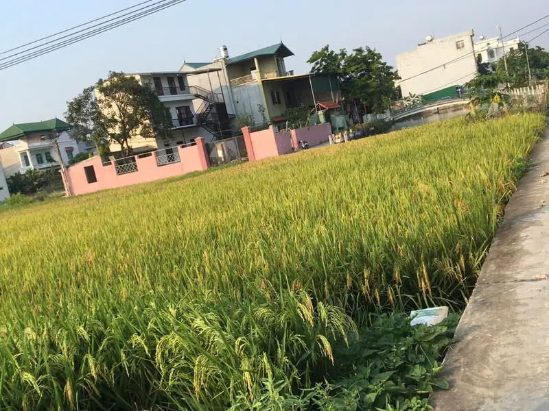 Lô đất vuông vắn, mặt tiền rộng tại khu dân trí cao Nguyễn Văn Huy... Bán đất tại Tam Sơn, Bắc Ninh 01