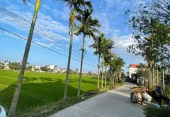 🌾 LÔ GÓC 2 MẶT TIỀN ĐƯỜNG 5,5M – QUAN CHÂU, HOÀ XUÂN, ĐÀ NẴNG.... Bán đất tại Hòa Xuân, Đà Nẵng 05