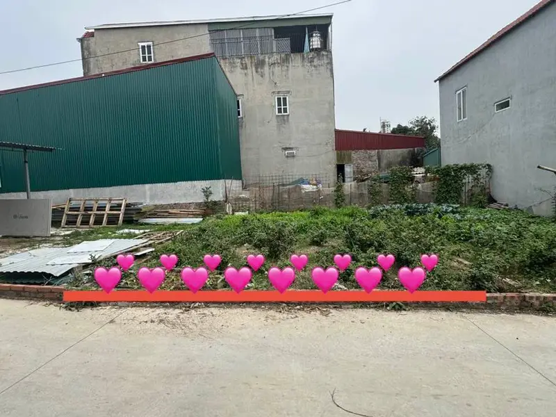 Lô đất vàng tại Kim Anh, Hà Nội - Tiềm năng sinh lời cao... Bán đất tại Kim Anh, Hà Nội 01