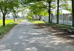 Bán đất 556m2 mặt tiền rộng, gần Nguyễn Văn Bứa, tiện xây kho xưởng, 6.x tỷ... Bán owner_side tại Xuân Thới Sơn, Hồ Chí Minh 02