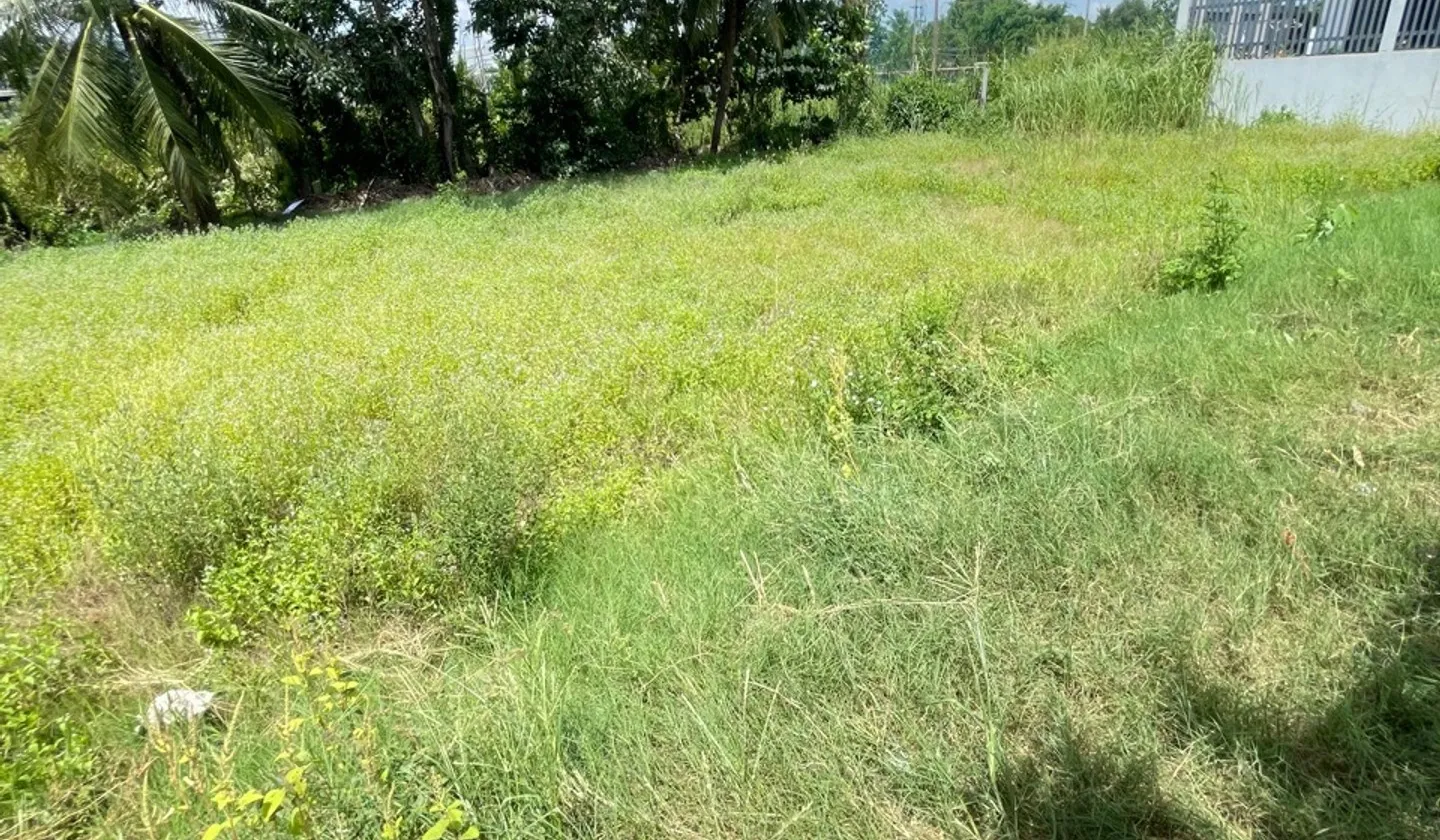 Đất Vàng Mặt Tiền Đường Lớn - Cơ Hội Đầu Tư Hiếm Có... Bán đất tại An Lạc, Hồ Chí Minh 01