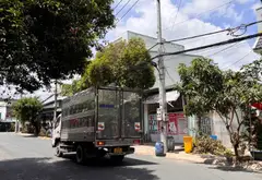 LÔ ĐẤT MẶT TIỀN ĐƯỜNG – KDC MINH TUẤN – 85M² – ĐƯỜNG 9M CÓ VỈA HÈ – CHỈ 4.6 TỶ... Bán đất tại Thuận An, Hồ Chí Minh 04