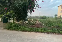 Bán đất 98.6m2 khu giãn dân Đình Tổ, gần Lệ Chi - Gia Lâm... Bán đất tại Trí Quả, Bắc Ninh 09