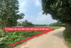 Bán đất Bắc Sơn diện tích rộng 823m², mặt tiền 35m, giá tốt... Bán đất tại Trung Giã, Hà Nội 09