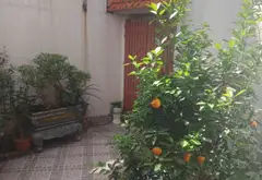 Nhà mặt phố Nguyễn Công Hòa - cơ hội vàng cho giới đầu tư khôn ngoan... Bán nhà mặt phố tại Lê Chân, Hải Phòng 09