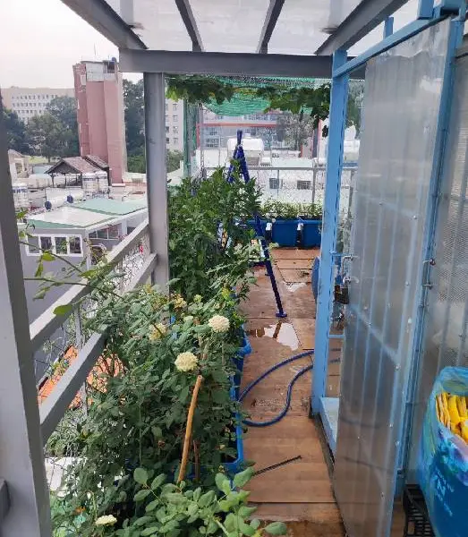 Bán nhà 5 tầng lô góc mặt tiền rộng tại phường 3, quận Gò Vấp... Bán nhà riêng tại Hạnh Thông, Hồ Chí Minh 01