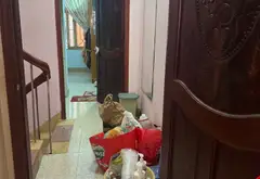Nhà mặt tiền Nguyễn Trãi 4 tầng thiết kế hiện đại, giá hấp dẫn... Bán nhà mặt phố tại An Đông, Hồ Chí Minh 06