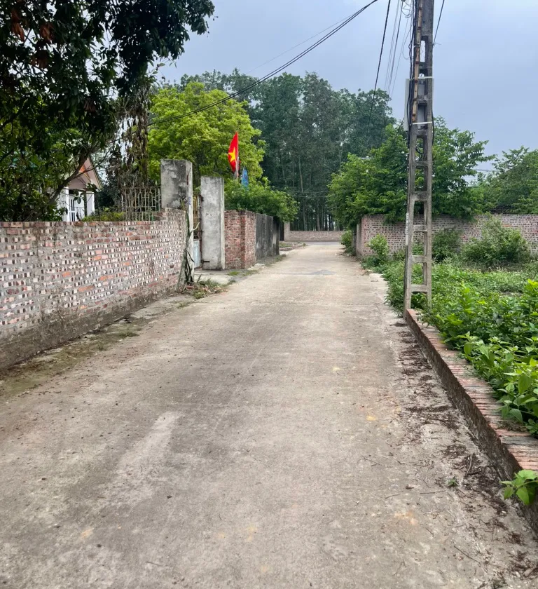 Bán đất 126,9m² mặt tiền 5,5m tại khu đông dân cư, pháp lý rõ ràng... Bán đất tại Kim Anh, Hà Nội 01