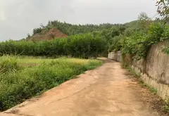🏡 91,6m² FULL THỔ CƯ – HƯỚNG ĐÔNG NAM – Ô TÔ TẬN ĐẤT... Bán đất tại Đông Mai, Quảng Ninh 01