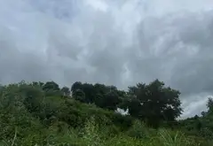 Bán đất diện tích lớn tại phường Bãi Cháy, Quảng Ninh với pháp lý cơ sở... Bán đất tại Bãi Cháy, Quảng Ninh 14