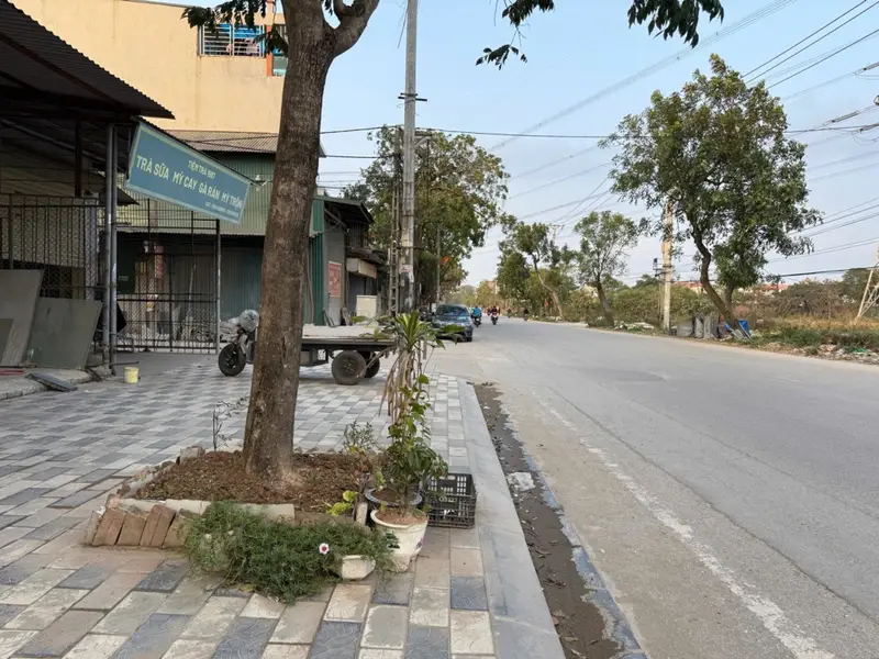 Cơ hội hiếm có sở hữu đất lô góc ĐÌNH TRÀNG DỤC TÚ tại xã Thư Lâm, Hà Nội... Bán đất tại Thư Lâm, Hà Nội 01
