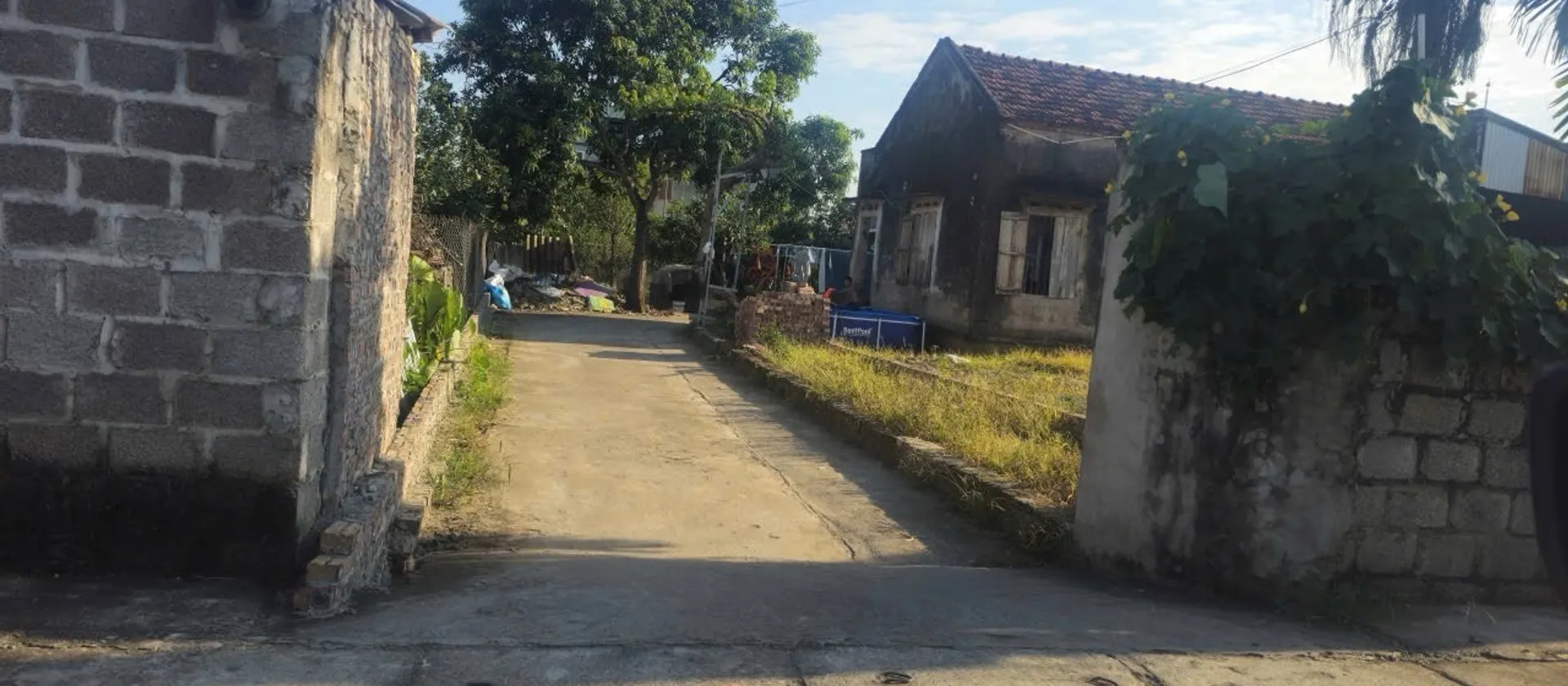Bán đất diện tích 100m2 mặt tiền 5m tại Bãi Sậy, Hưng Yên... Bán đất tại Triệu Việt Vương, Hưng Yên 01