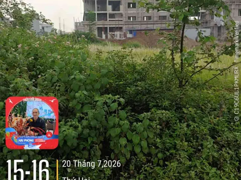 Cơ Hội Vàng Đầu Tư Đất TĐC Văn Phong Trong Khu Đặc Khu Kinh Tế Cát Hải... Bán đất tại Gia Lộc, Hải Phòng 01