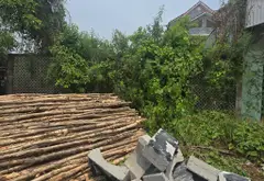Bán đất xã Hiệp Phước, Nhà Bè, diện tích lớn, mặt tiền 10m, pháp lý rõ ràng... Bán nhà mặt phố tại Hiệp Phước, Hồ Chí Minh 01