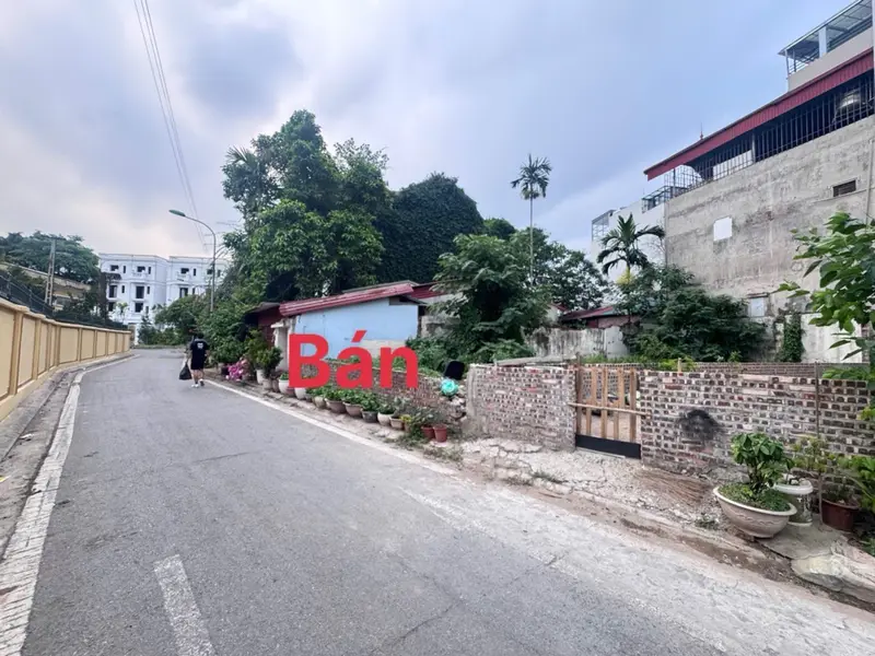 Bán đất ô tô tránh, TƯ ĐÌNH - LONG BIÊN - gần biệt thự Minh Tâm, thích hợp kinh doanh... Bán đất tại Long Biên, Hà Nội 01